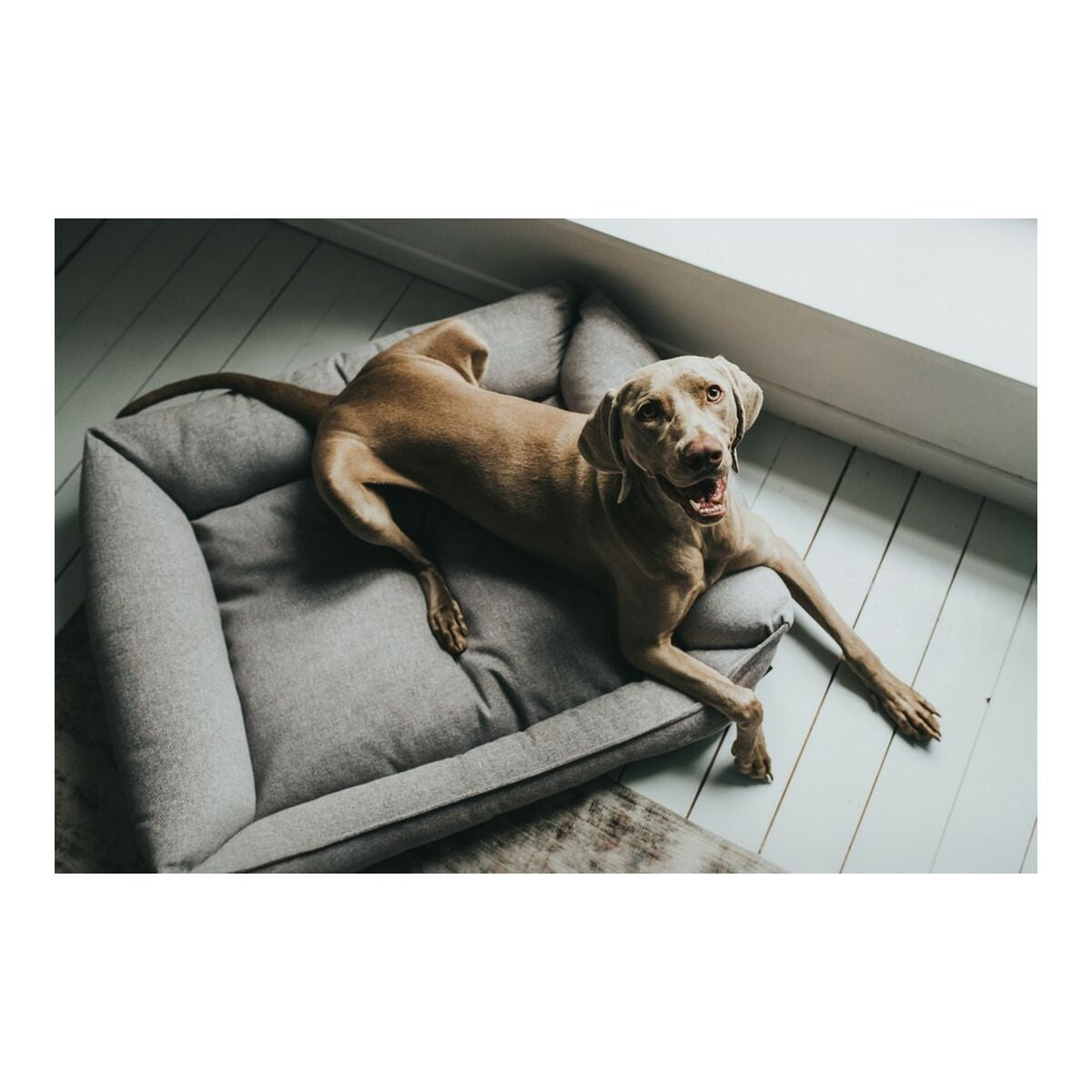Orthopedic Dog Sofa "Hunter Prag" | Sfera Pets