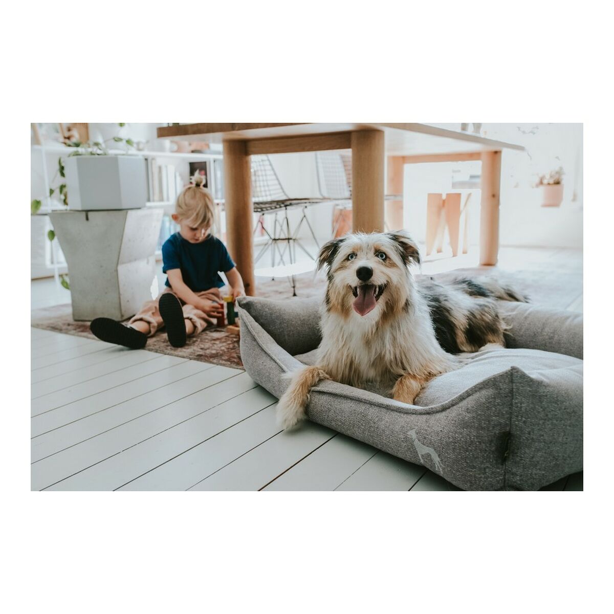 Orthopedic Dog Sofa "Hunter Prag" | Sfera Pets