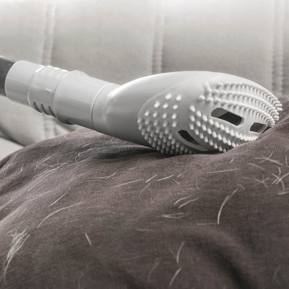 Pet Hair Remover Vacuum Brush | Sfera Pets