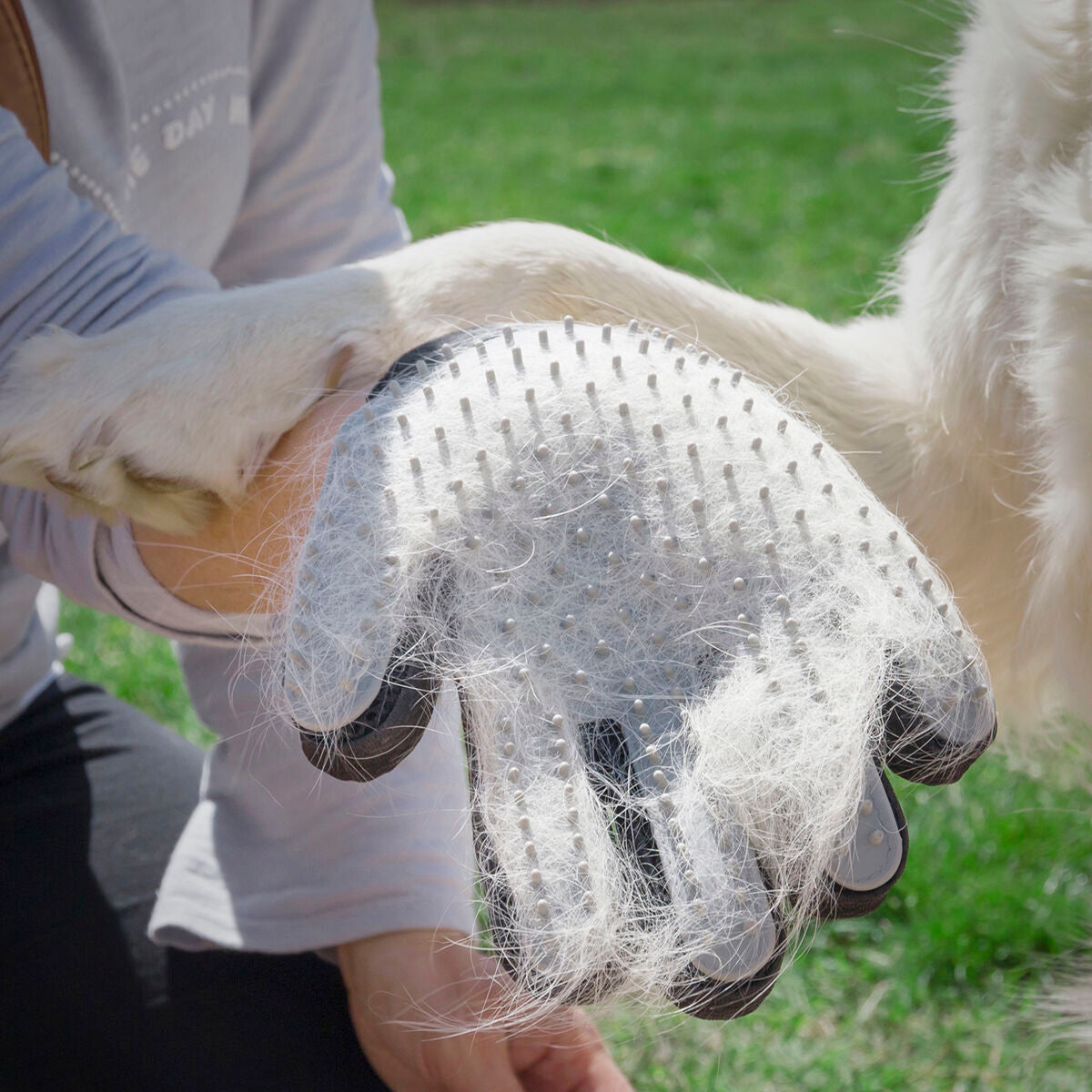 2-in-1 Grooming & Massage Glove | Sfera Pets