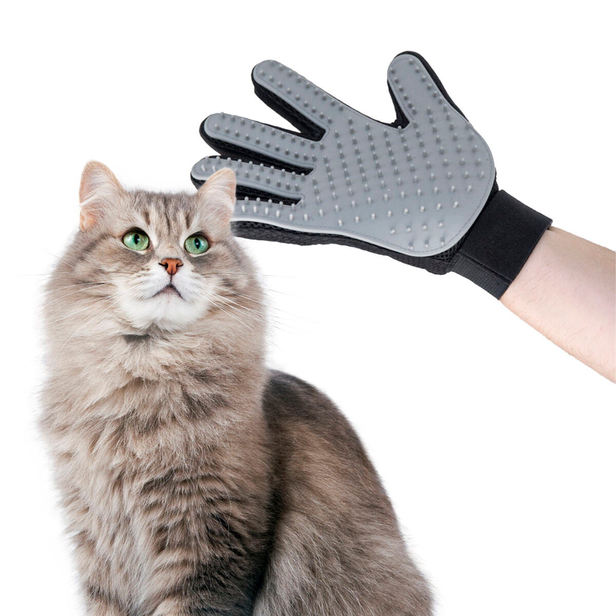 2-in-1 Grooming & Massage Glove | Sfera Pets