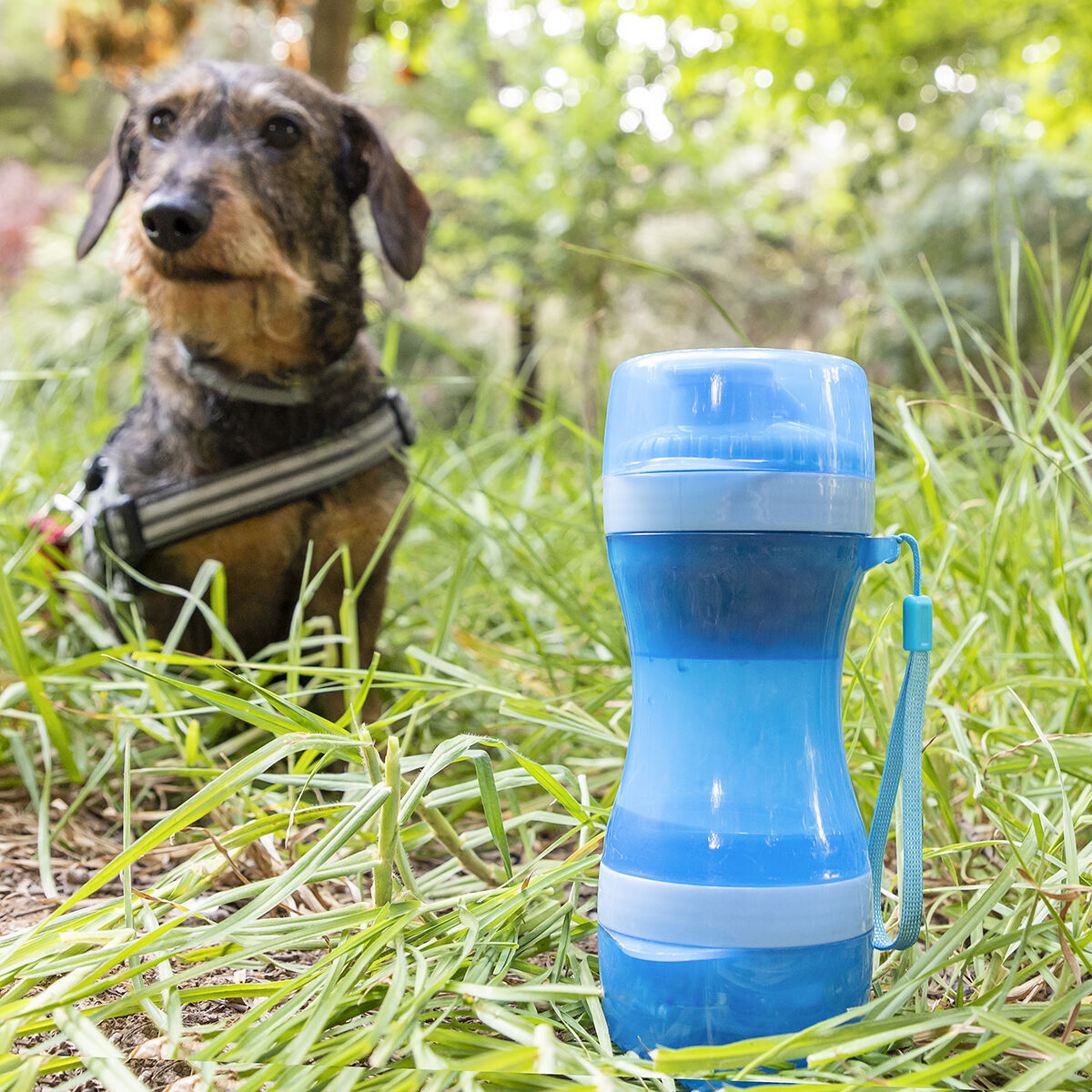 2-in-1 Pet Travel Bottle for Food & Water | Sfera Pets
