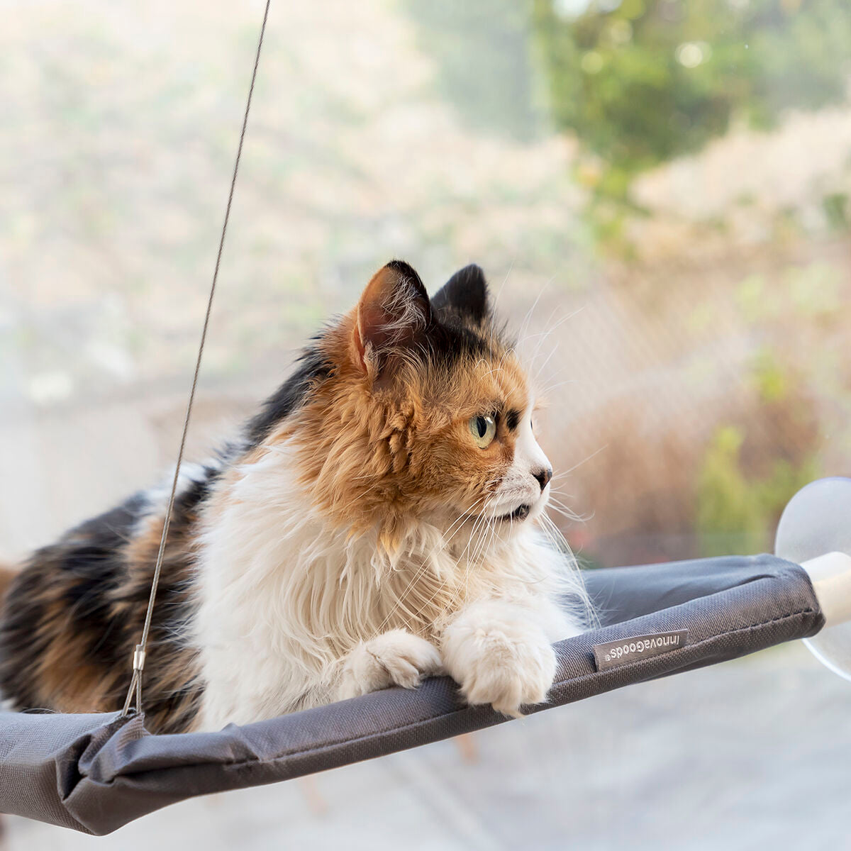 Sunny Seat Window Cat Hammock | Sfera Pets