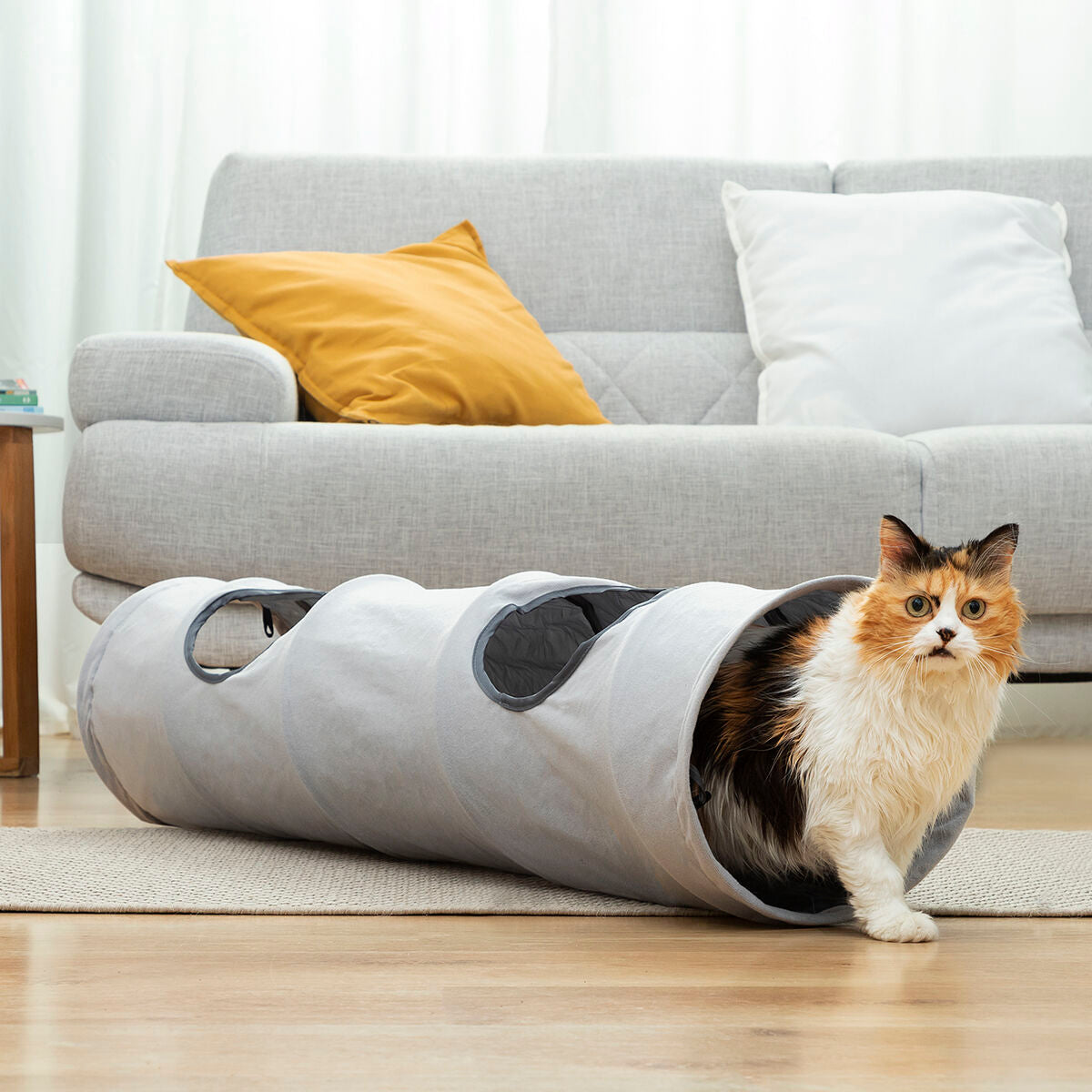 Interactive Play Tunnel for Cats & Small Dogs | Sfera Pets
