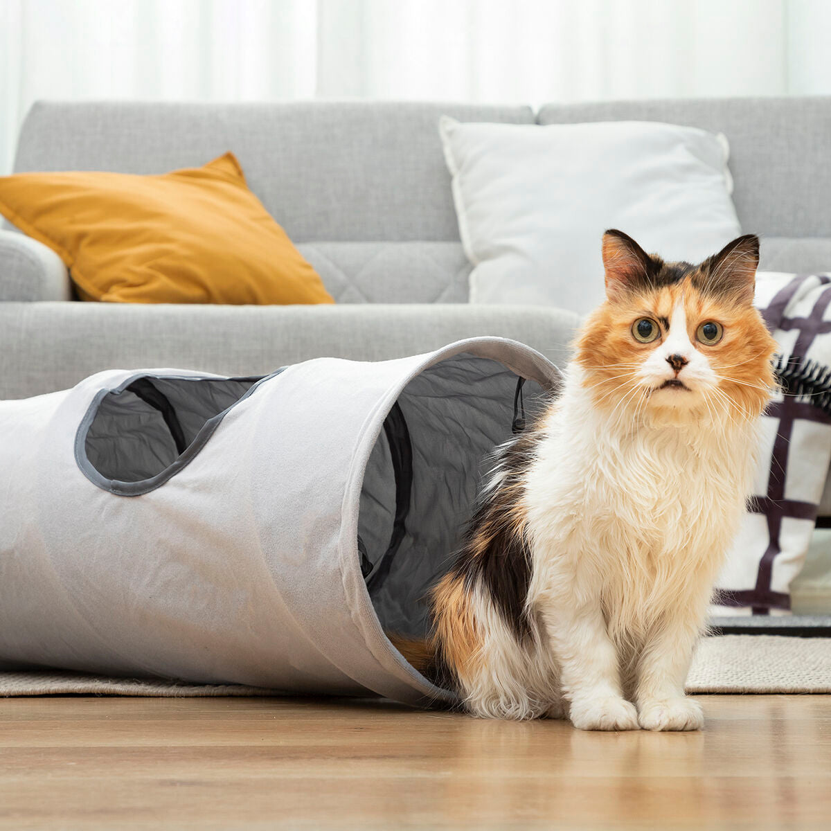 Interactive Play Tunnel for Cats & Small Dogs | Sfera Pets