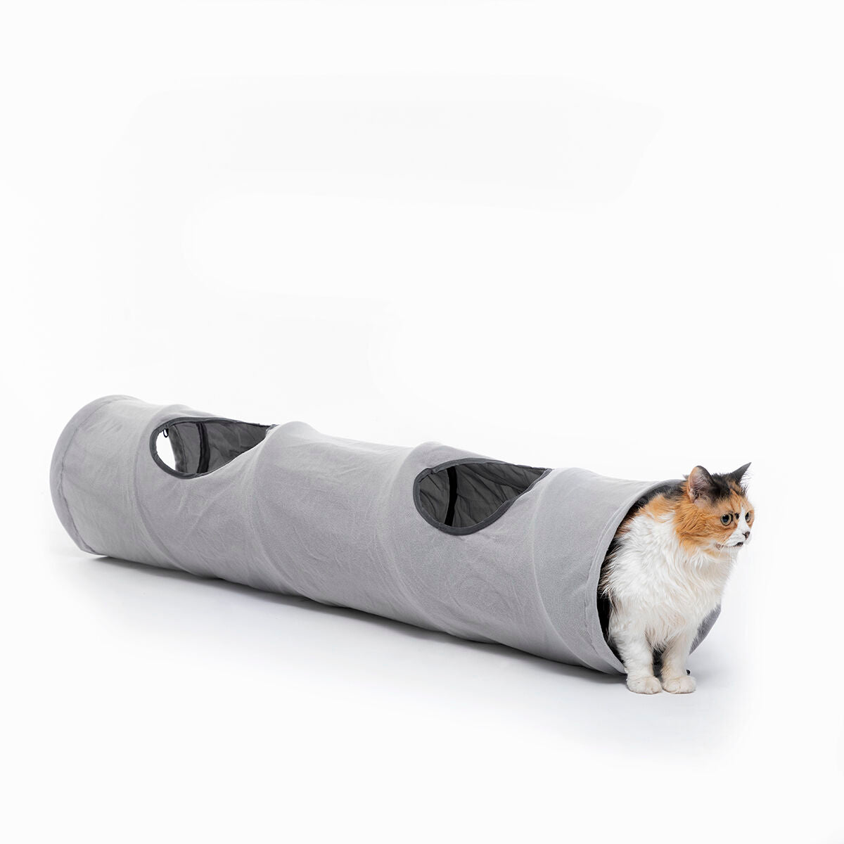 Interactive Play Tunnel for Cats & Small Dogs | Sfera Pets