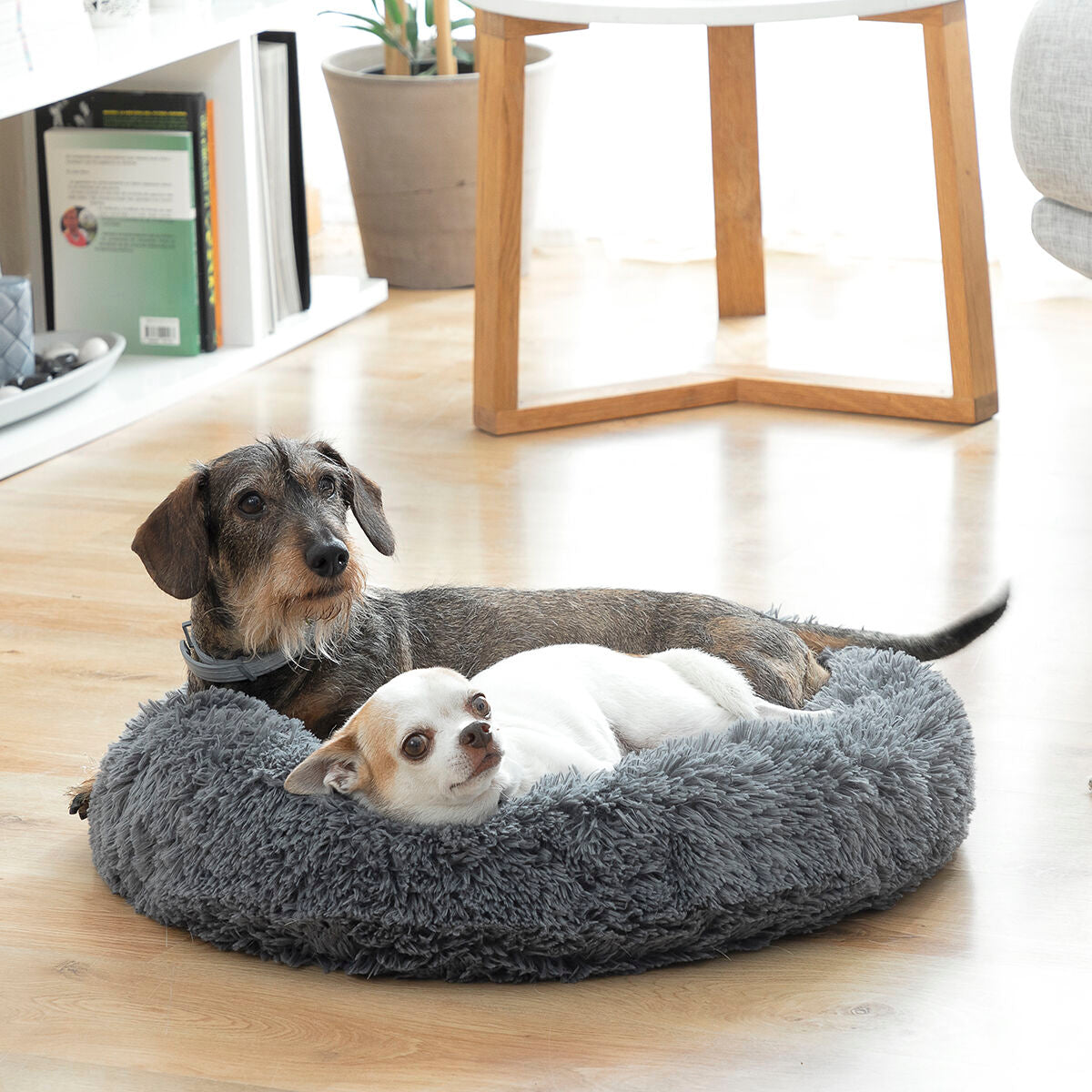 Calming Anti-Anxiety Pet Bed | Sfera Pets