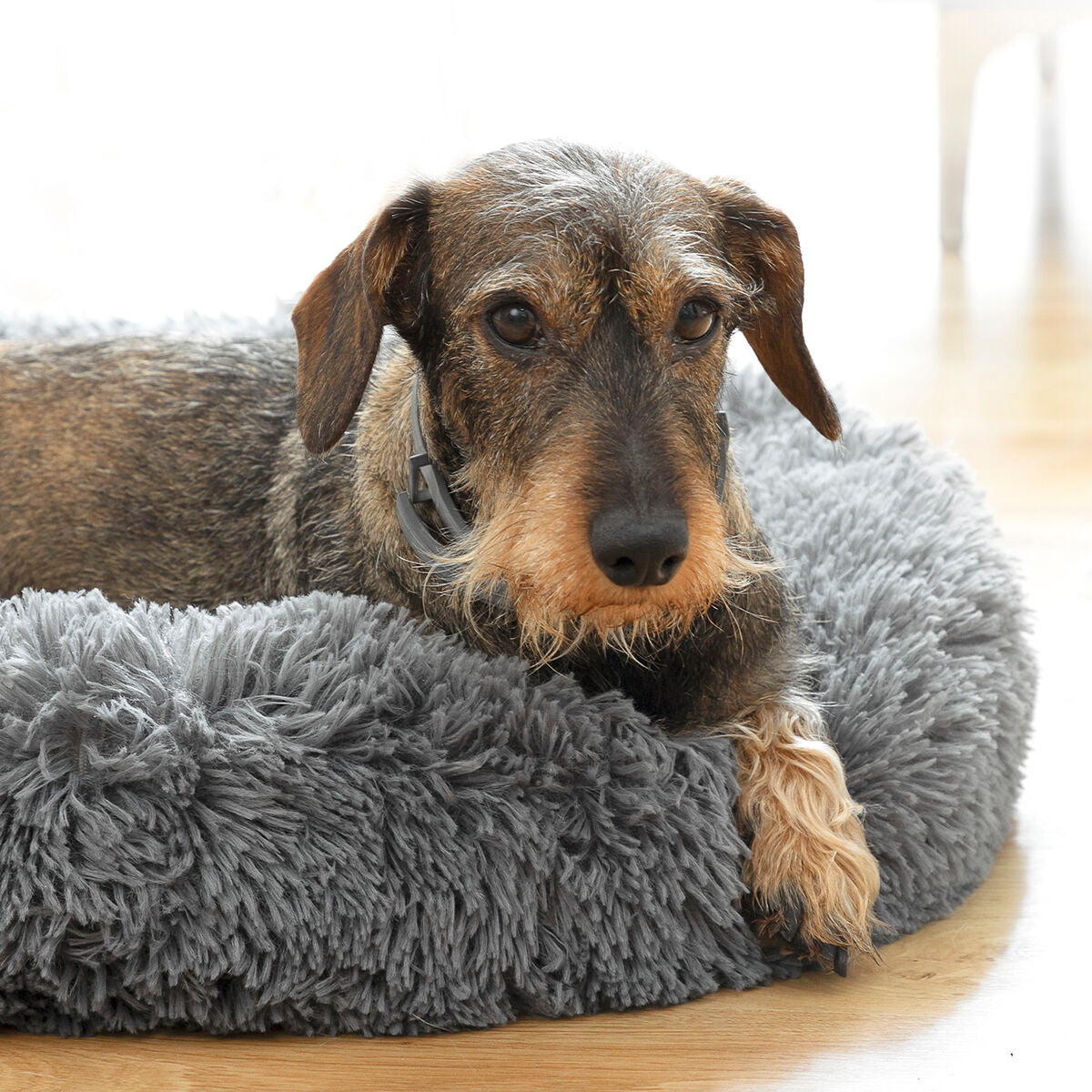Calming Anti-Anxiety Pet Bed | Sfera Pets
