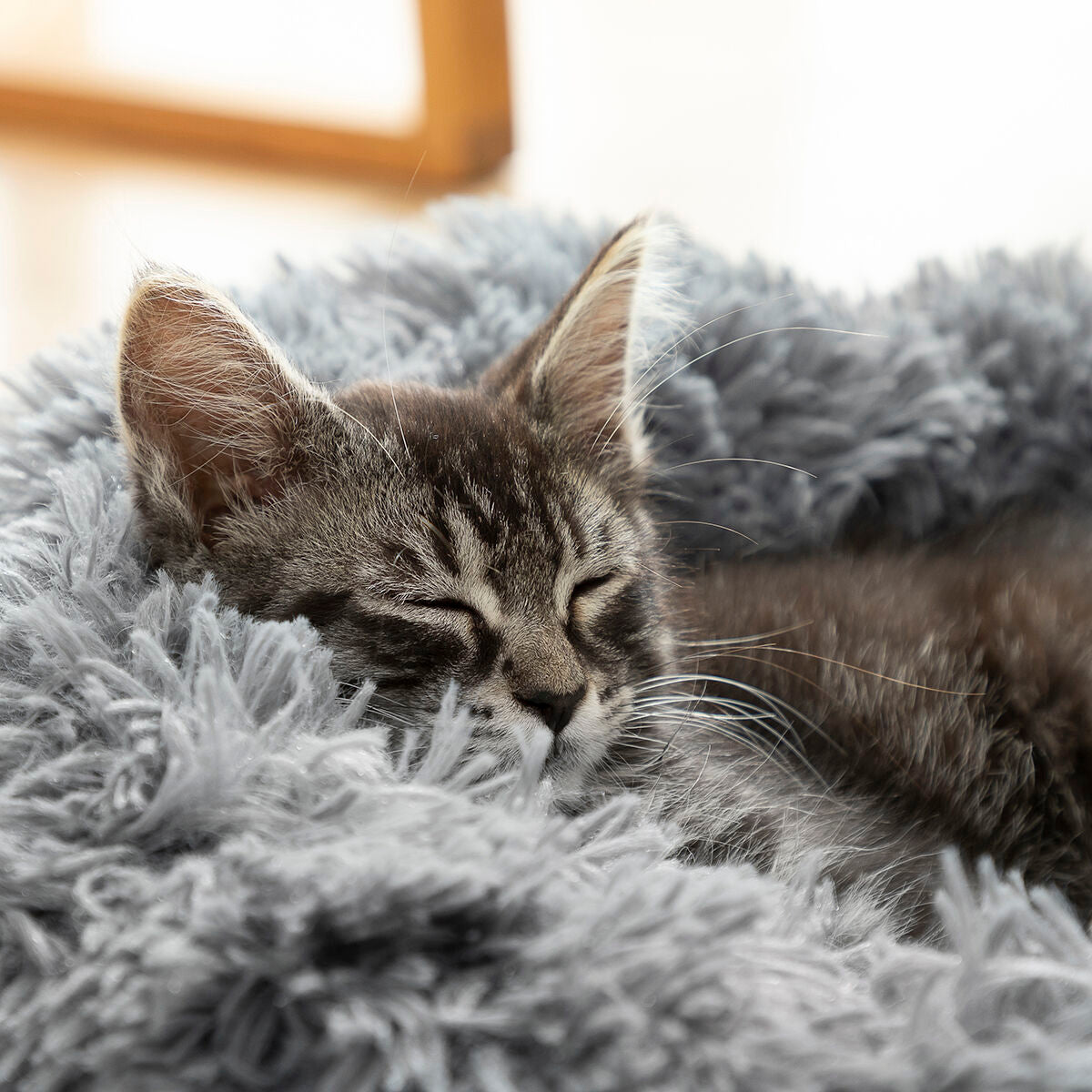 Calming Anti-Anxiety Pet Bed | Sfera Pets