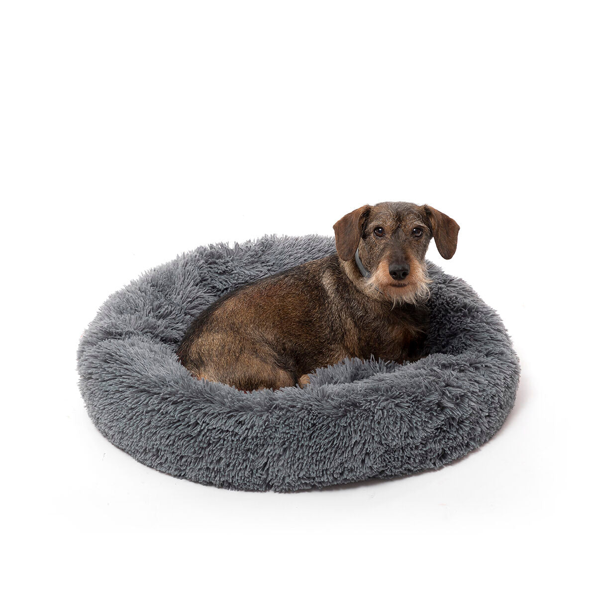 Calming Anti-Anxiety Pet Bed | Sfera Pets