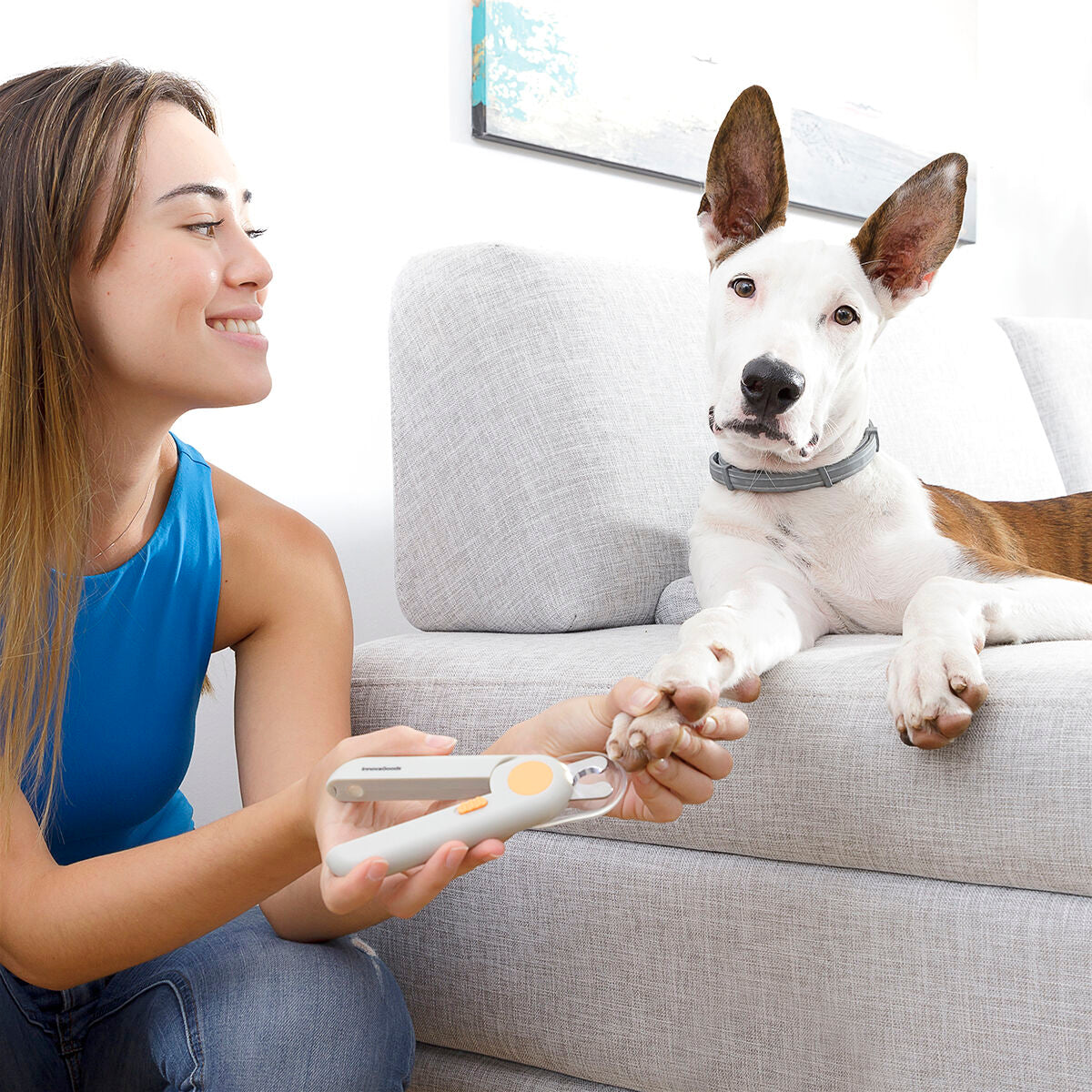 Precision LED Pet Nail Clippers | Sfera Pets
