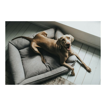 Orthopedic Dog Sofa "Hunter Prag" | Sfera Pets