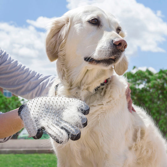 2-in-1 Grooming & Massage Glove | Sfera Pets