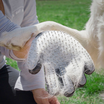 2-in-1 Grooming & Massage Glove | Sfera Pets