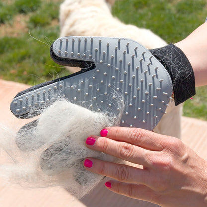 2-in-1 Grooming & Massage Glove | Sfera Pets