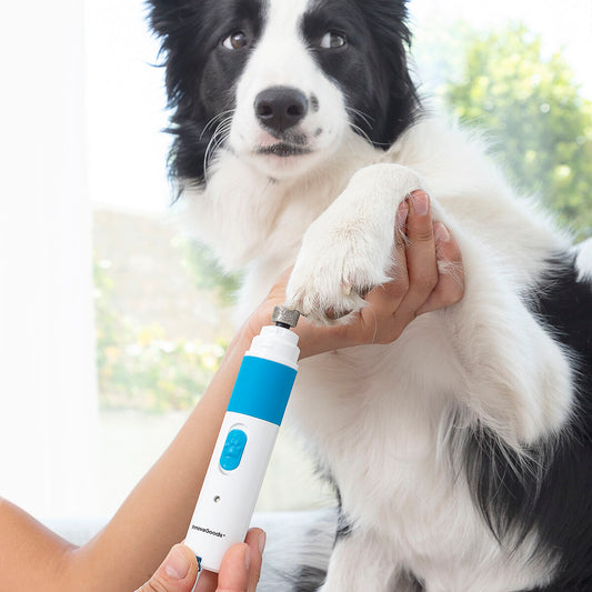 Painless Electric Pet Nail Grinder | Sfera Pets