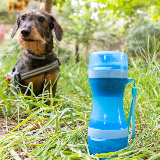 2-in-1 Pet Travel Bottle for Food & Water | Sfera Pets